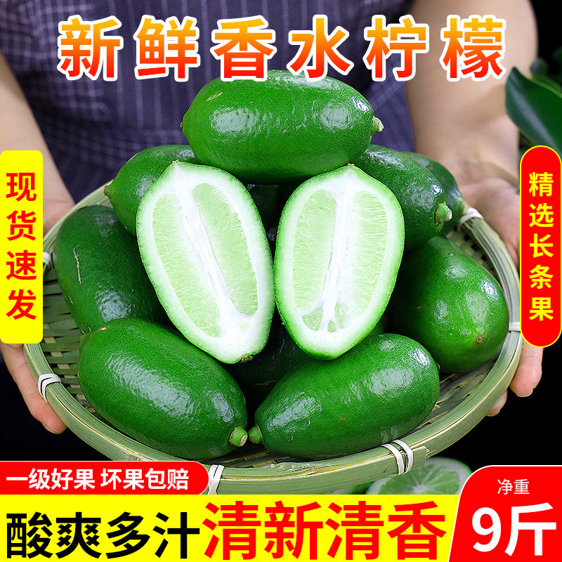 香水柠檬新鲜当季现摘无籽柠檬