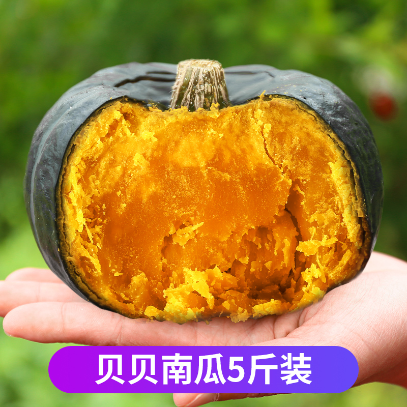 贝贝南瓜正宗板栗味新鲜婴儿