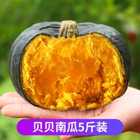 貝貝南瓜正宗板栗味新鮮嬰兒