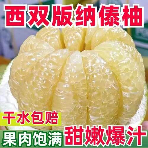 新鲜水果正宗云南西双版纳傣柚青柚清甜蜜柚白心柚子当季孕妇水果