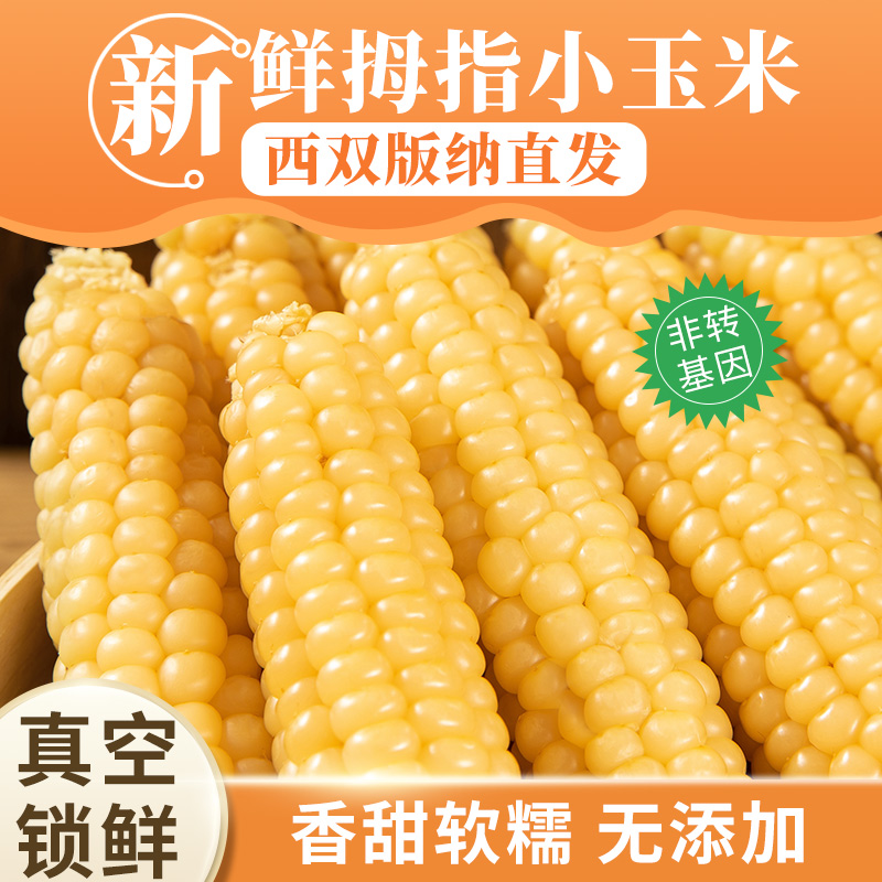 云南特产西双版纳拇指小玉米