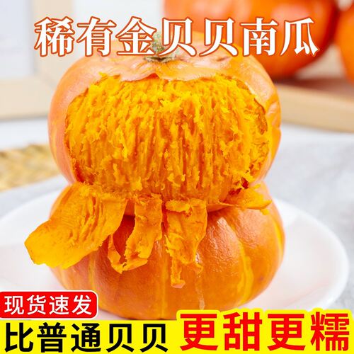 红魔金贝贝南瓜正宗板栗味小南瓜