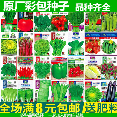 草莓薄荷辣椒西瓜香葱蔬菜种子