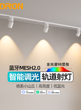 智能小山丘轨道射灯led明装导轨客厅背景墙服装商用已接入米家App