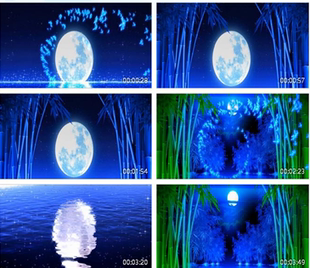 月光下的凤尾竹 月亮 海面十一 中秋节 舞台表演led背景视频素材