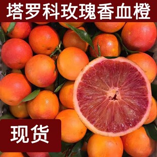 玫瑰血橙苗 玫瑰香橙树苗 橙子苗 万州玫瑰香橙盆栽地栽当年结果