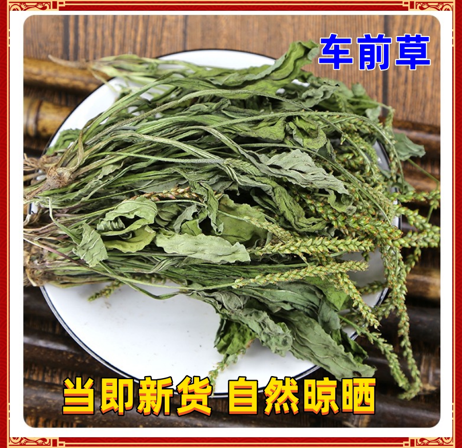 车前草500克中药材车前草干货袋泡茶新鲜野生泡水喝另售车前子