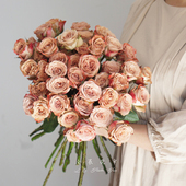 网红北京欧月玫瑰鲜花水养插花居家花束新鲜顺丰 同城支持闪送 包邮