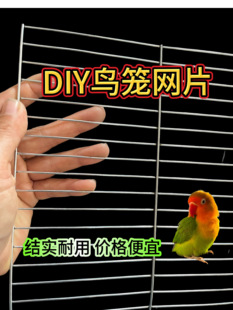 鹦鹉攀爬网鸟笼网防鼠鸽舍兔笼鹌鹑笼鹦鹉网格鸡鸭养殖网阳台防网