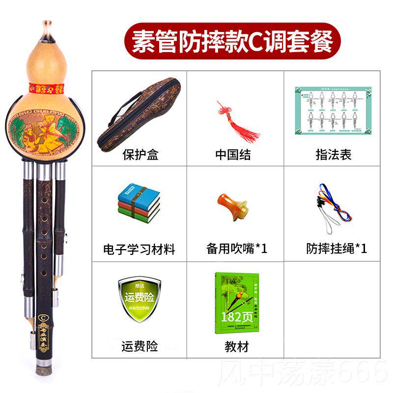 正品C紫竹摔葫芦丝乐器初学者成人儿童学生专业演奏调型 防降BGF
