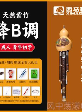 正品西马b格天然紫竹葫芦调丝c调乐用器小学生专成人自学降专业演