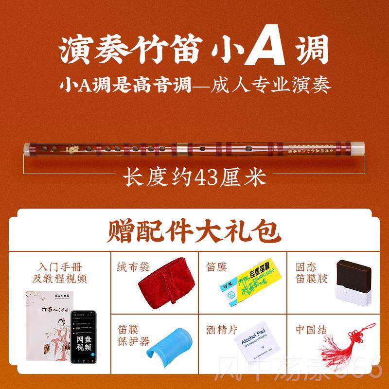 正品成专业苦竹笛子初学入门人竹笛横精制E笛儿演奏G调F童C女学生