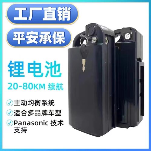 晶荷48v12A锂电适合雅迪台铃爱玛