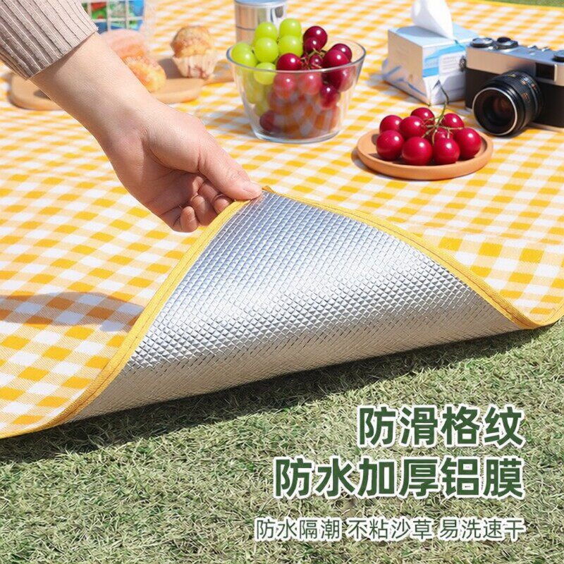 野餐垫防潮垫加厚户外露营亲子郊游外出野营便携防水隔潮野炊地垫