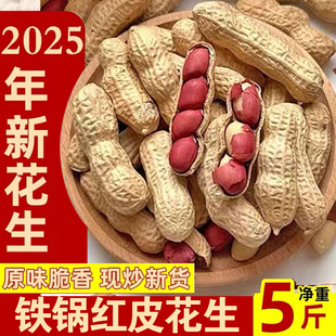 炒花生带壳原味道2025年四粒红皮熟花生新货炒货湿烤紫衣山东铁锅