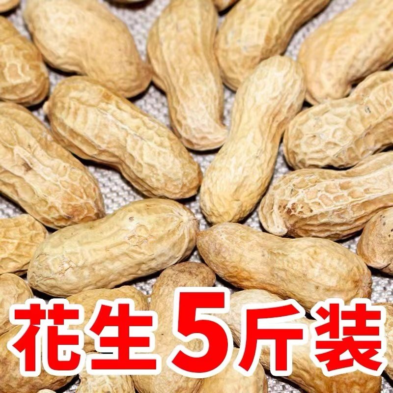 铁锅炒花生带壳原味炒熟新鲜晒干山东大花生炒货干炒蒜香味道美味