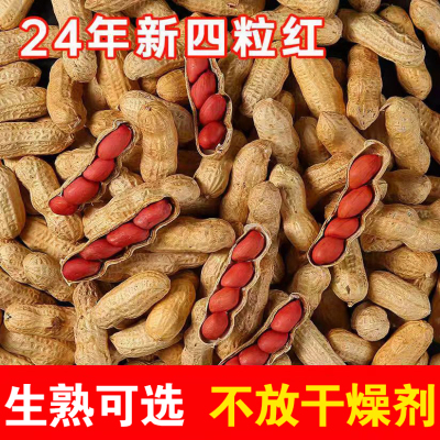 山东炒货炒熟四粒红带壳生花生农家自产新货红皮花生米原味大花生