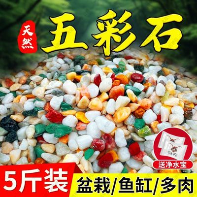 天然雨花石净水鱼缸底砂火山石造景五彩石头装饰大匠神彩彩色石子