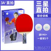 正品 567A横拍直拍星比赛训练成品七三四五星 双鱼六星乒乓球P拍34