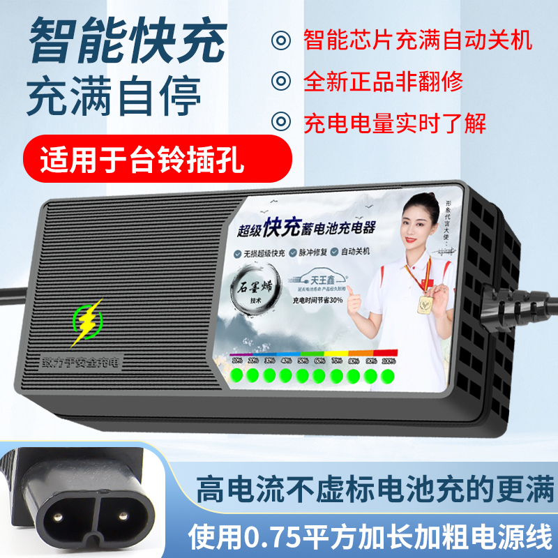 台铃云插电瓶充电器专用接口