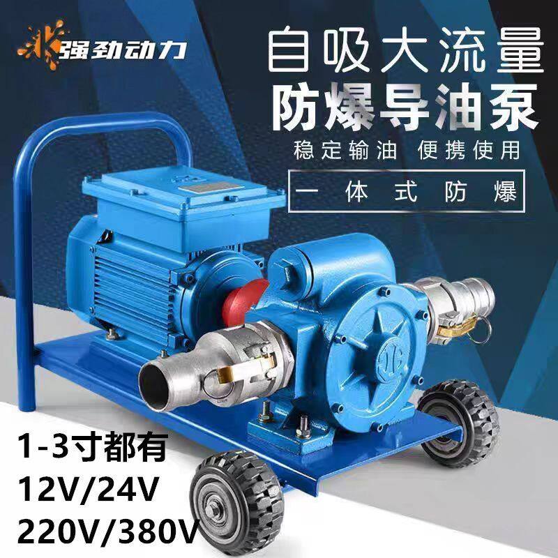 电动抽油泵12v24v220v防爆导油卸油泵大流量柴油汽油油罐车加油机
