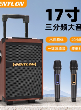 广场舞音响2025新款户外k歌跳舞业演出专用大功率拉杆音箱蓝牙专