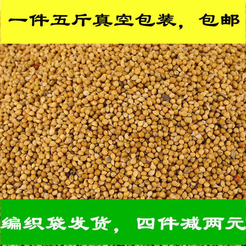 虎皮鹦鹉饲料鸟食玄凤谷子牡丹粮食文鸟带壳小米黄雀鸟粮包邮5斤