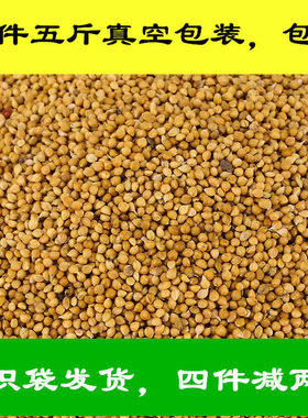 虎皮鹦鹉饲料鸟食玄凤谷子牡丹粮食文鸟带壳小米黄雀鸟粮包邮5斤