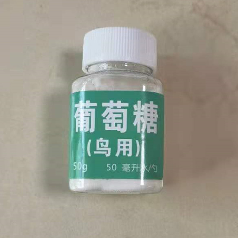 鹦鹉葡萄糖补充能量闭门养鸟