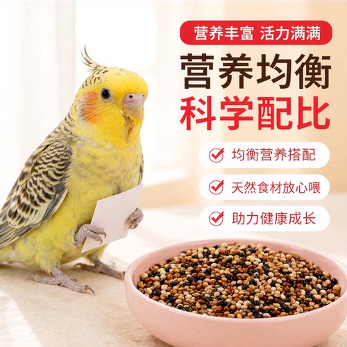 黑白红黄糜子混合鹦鹉鸟粮新粮