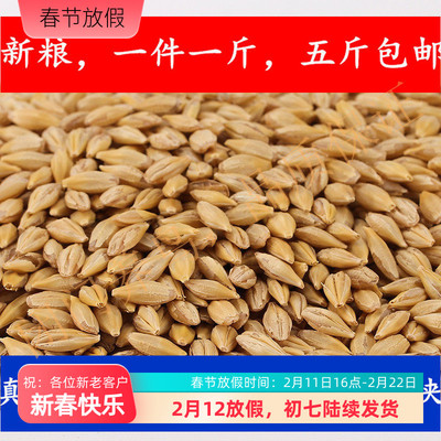 鹦鹉鸟粮闭门养鸟价格合理