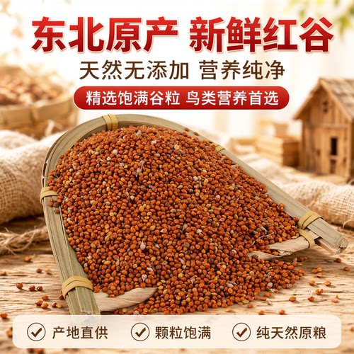 东北新红谷子带壳小米粟鸟食