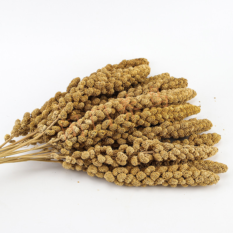 小型鸟零食仓鼠粮天然10根鹦鹉