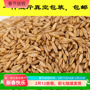 燕麦米/鸟食/鸟粮/雀麦/野麦/燕麦仁/虎皮鹦鹉/牡丹玄风五件包邮