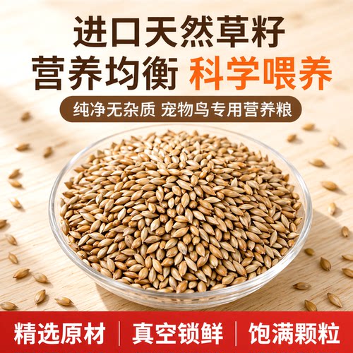 加纳利子金丝雀草籽鸟粮包邮