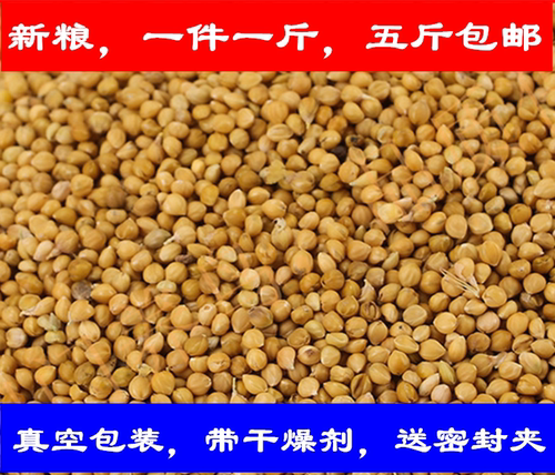 闭门养鸟大粒薄利多销