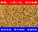 新谷子带壳小米粟谷鸟食谷子黄谷子年东北大粒谷子小鹦鹉粮一斤