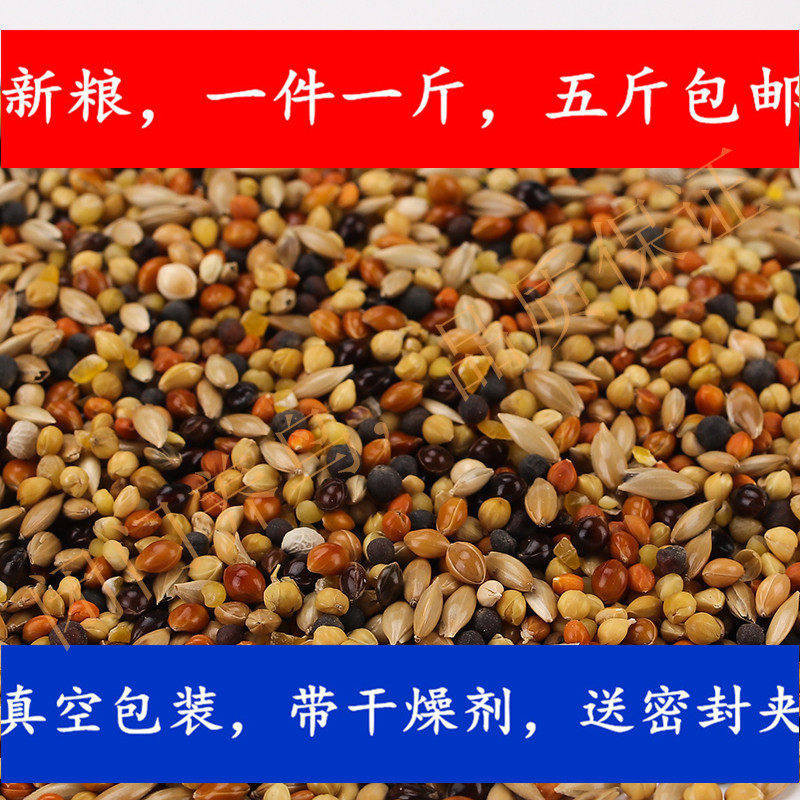 小型鹦鹉混合饲料文鸟虎皮太平洋小玄风一斤全价鸟粮五斤全国包邮