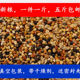 小型鹦鹉混合饲料文鸟虎皮太平洋小玄风一斤全价鸟粮五斤全国 包邮