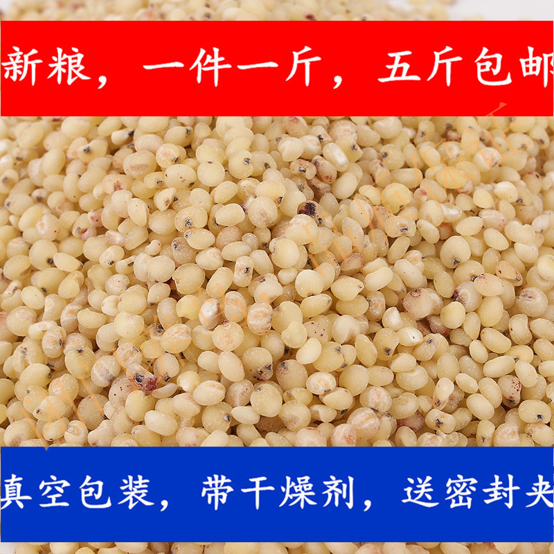 鸟粮闭门养鸟价格合理