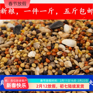 牡丹大头虎皮玄风等中小鹦鹉混合粮一斤价格鸟粮鸟食五斤包邮实惠