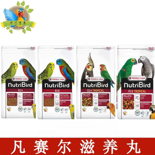 凡赛尔B14B18G14P15水果滋养丸中小型大型鹦鹉粮鸟食饲料试吃100g