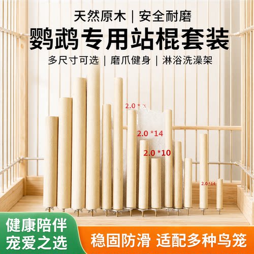 国产鹦鹉站杆洗澡淋浴站架