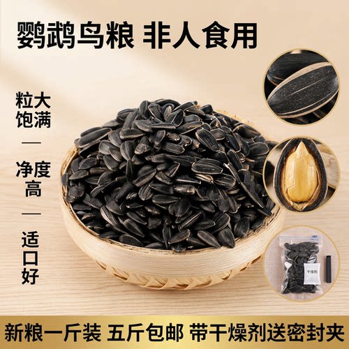 生黑珍珠小瓜子油鸟粮5斤包邮