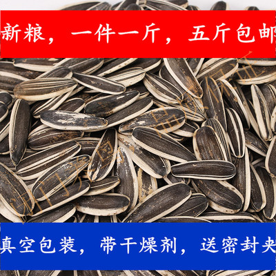 大瓜子毛嗑内蒙产瓜子全部采用