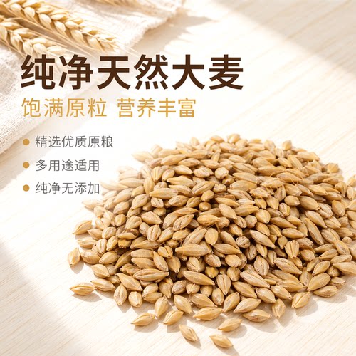 鹦鹉鸟粮闭门养鸟价格合理