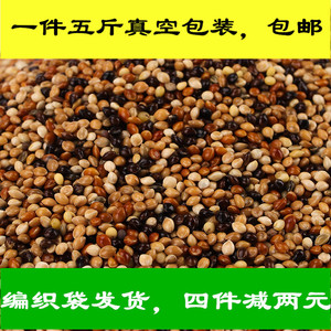 虎皮牡丹玄凤中小型鹦鹉鸟食饲料五色黍子糜子混合粮谷子包邮5斤