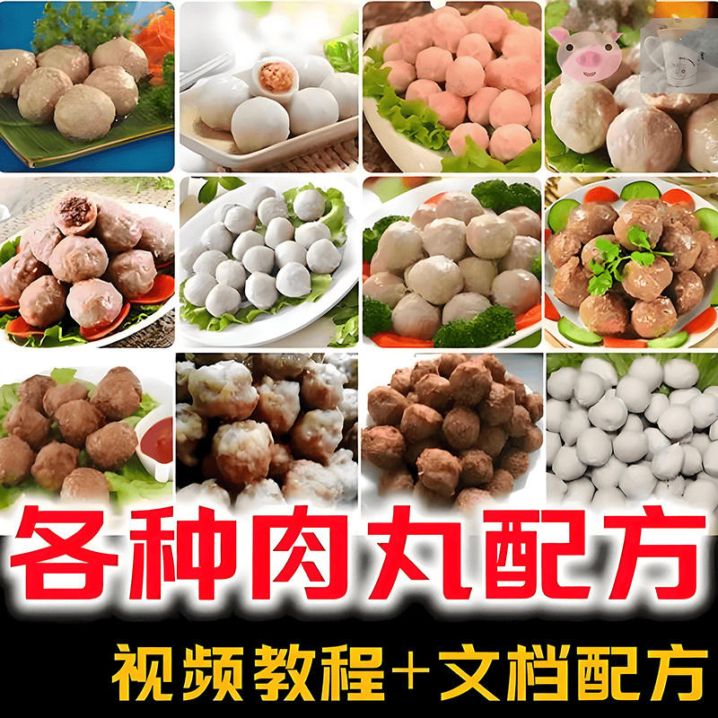 猪肉丸鸡肉丸牛肉丸虾肉丸做法制作过程正宗培训教程配方教学视频