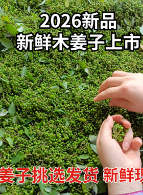 湖南新鲜木姜子野山胡椒酸汤鱼