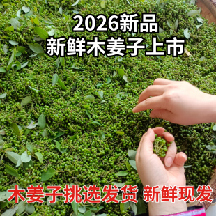 现摘湖南野生木姜子干货新鲜山胡椒山苍子辣椒酱酸汤火锅底料现发